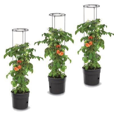 gueche Pots Biodégradables, Lot de 60 Pots de semis en Fibre biodégradable de 8 cm avec 60 étiquettes de Plantes, Godets Semis Plantes Biodégradables, Fleurs, Pots de semences pour Jardin