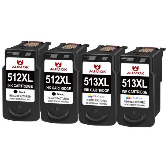 Lot De 2 Cartouches D'encre Noire PG545XL Remanufacturées Pour Canon Pixma MG2550s - Neuf