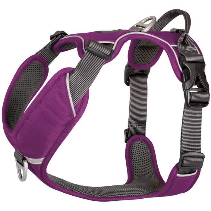 Harnais pour chiens DOG Copenhagen Comfort Walk Pro Harness Purple Passion CW-PP Taille XL 11756