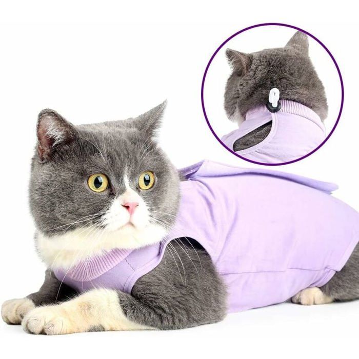 Combinaison de stérilisation pour chat femelle