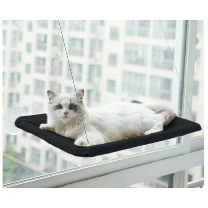 Hamac pour chat de fenêtre - adapté aux grands chats jusquà 25 kg chaise longue