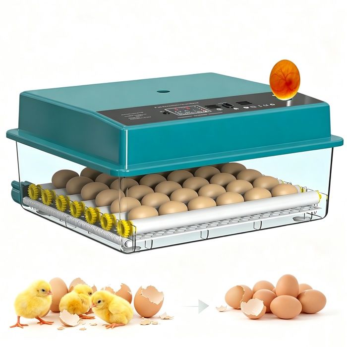 Couveuse Oeuf Automatique - Incubateur 36 Oeufs - Double Alimentation - Lampe LED - Retournement auto -Contrôle température humidité