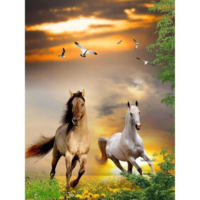 Kit Diamond Painting Chevaux Indiens 5D - 30x40cm - Broderie Strass Complet Avec Accessoires