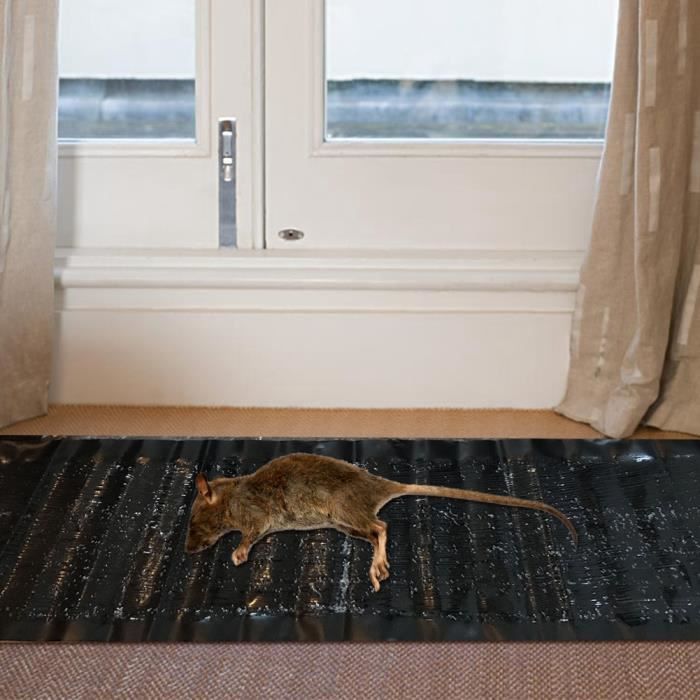 6 Pièces Colle Souris, Piege A Souris 120 X 28 Cm, Piege A