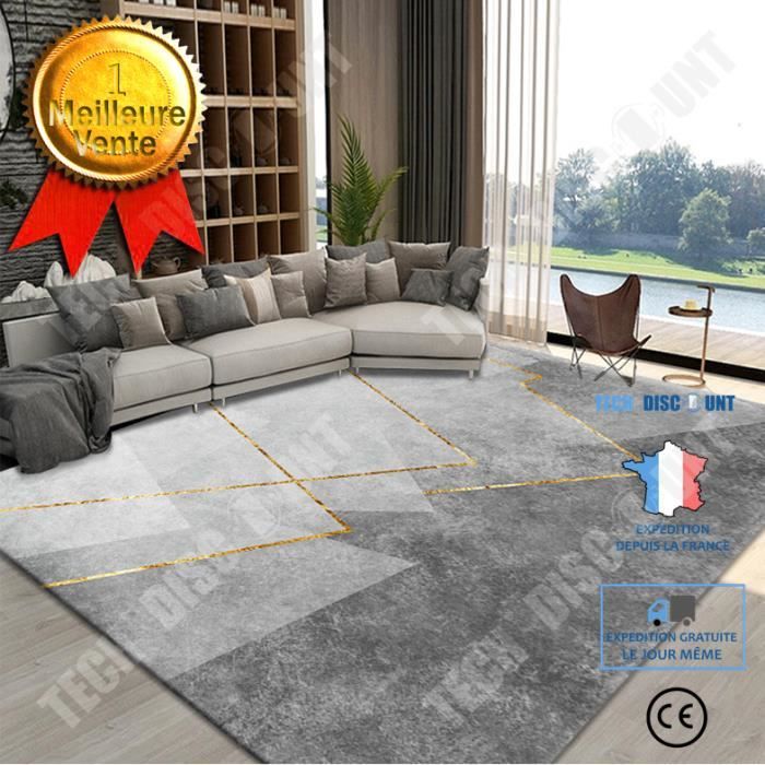 TD® Tapis gris salon maison chambre table basse canapé moderne nordique minimaliste léger luxe isolation phonique avancée 160 x 230