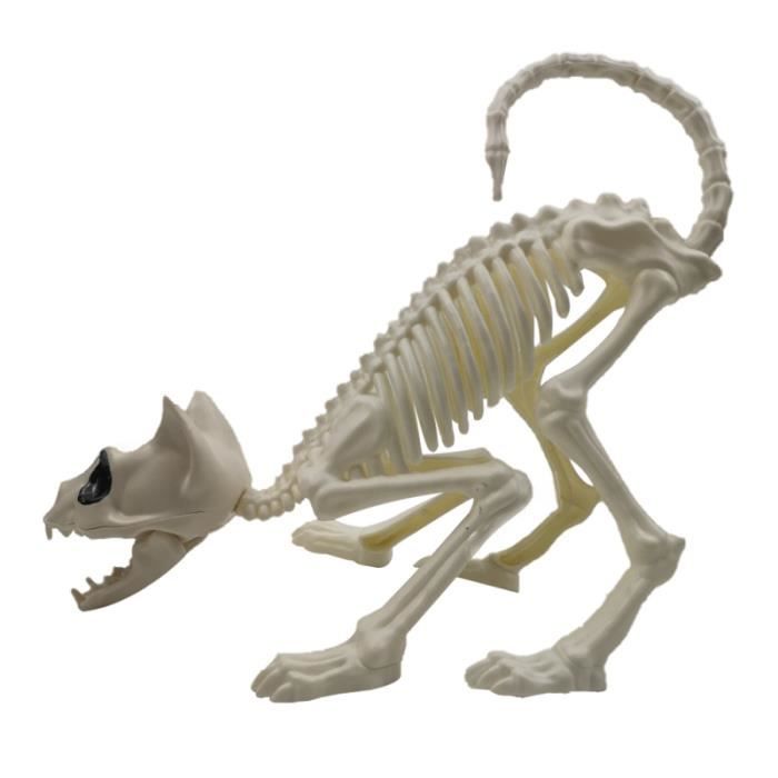 1pc Accroupi Chat Squelette Crane Modele Effrayant Os D Animaux Pour La Decoration D Halloween Blanc Statue Statuette Cdiscount Maison