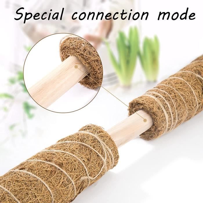 Perche en mousse 50 cm Perche en bambou et fibre de coco Support