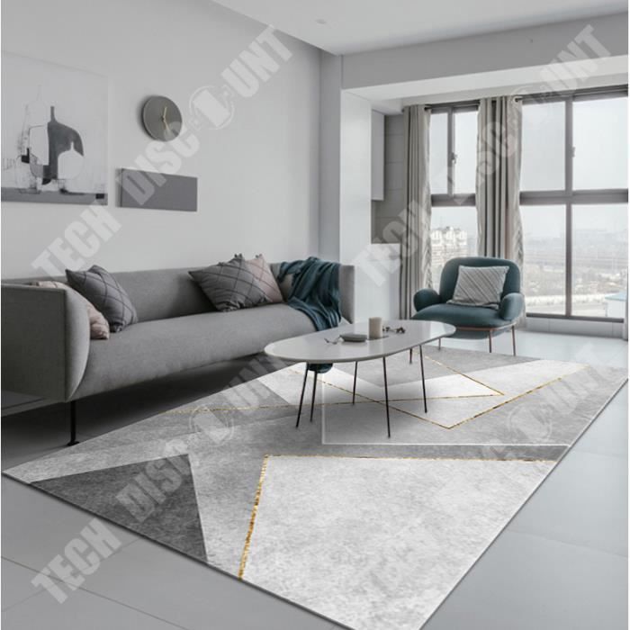TD® Tapis gris salon maison chambre table basse canapé moderne nordique  minimaliste léger luxe isolation phonique avancée 160 x 230 - Cdiscount  Maison