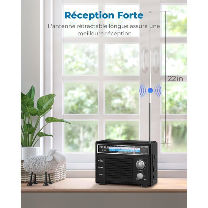 Fyrdyn Radio Portable FM/AM | Haut-Parleur Multimédia - Haut-Parleur