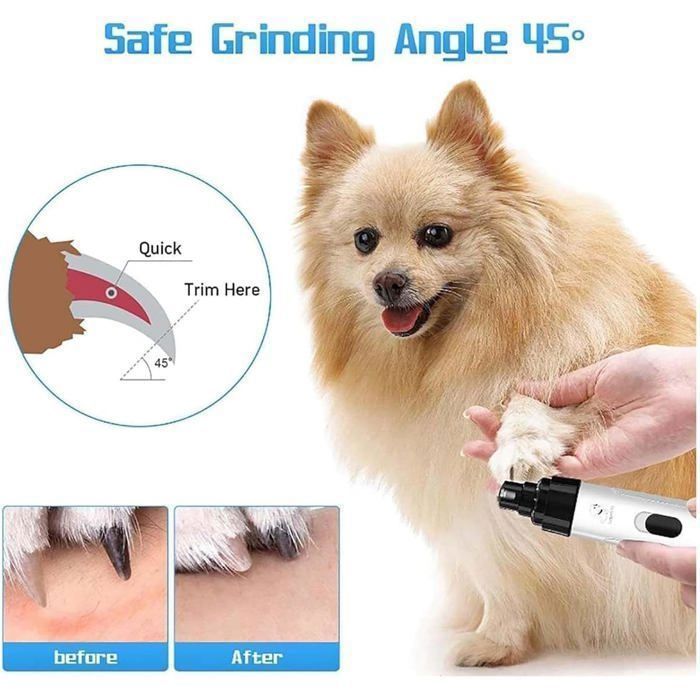 Coupe-ongles Et Broyeur De Bec Pour Oiseaux - Faible Bruit (<40 DB), Lumière Intégrée, 6 Têtes, Rechargeable Type-C