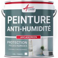 Peinture anti humidité anti moisissure salpêtre isolante ARCASCREEN   - 2.5L (jusqu a 10m²)