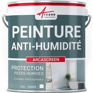 PEINTURE - VERNIS Peinture anti humidité anti moisissure salpêtre isolante ARCASCREEN   - 2.5L (jusqu a 10m²)