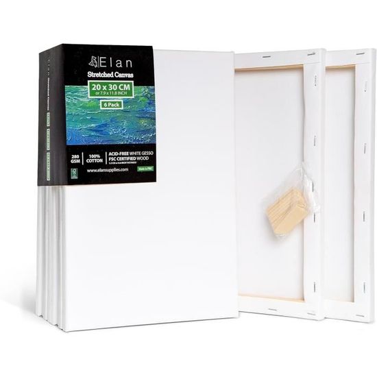 9 Pcs Toiles à Peindre 100% Coton - Tailles Mixtes 20x20cm 20x25cm 20x30cm Pour Artistes