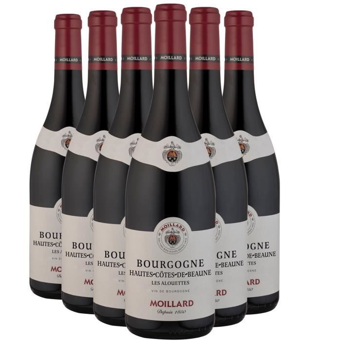 Bourgogne Hautes Côtes de Beaune Les Alouettes Rouge 2020 - Lot de 6x75cl - Domaine Moillard - Vin AOC Rouge de Bourgogne