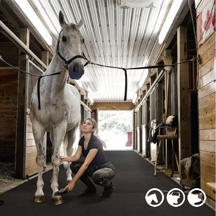 Meilleurs prix pour Tapis d’écurie boxes Puzzle en caoutchouc Épaisseur 17 mm 122 x 182 cm Emboîtement 4 côtés