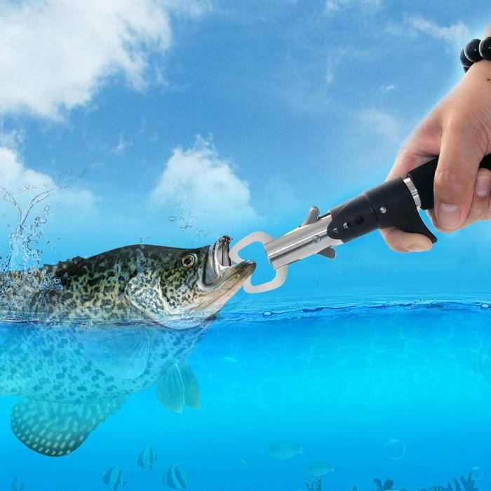 Pince à lèvres pour poisson, pince à poisson professionnelle