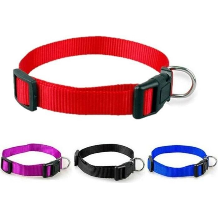 plain dog collars bulk