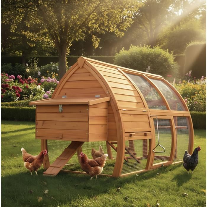 Poulailler en bois pour jardin extérieur - Marque - Modèle 126 Grande Poule - 2 perches - 172x76x102 cm