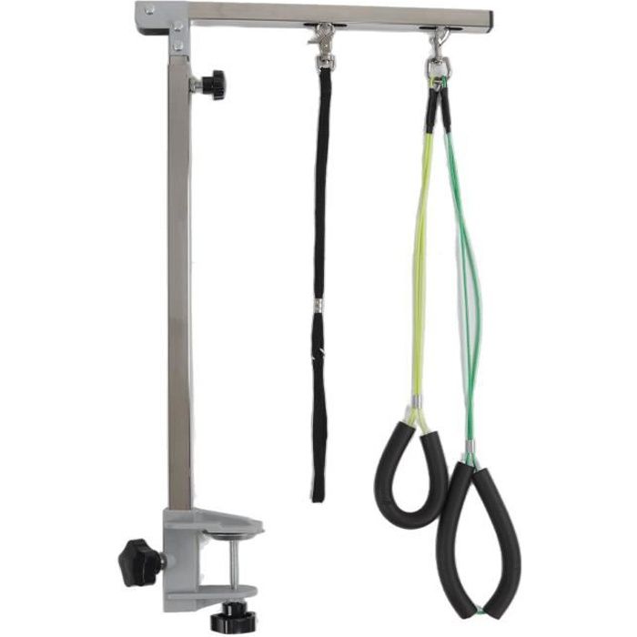 Support pour Table de Toilettage - Pwshymi - Support en Acier Inoxydable Pour Animaux de Compagnie - Acier Inoxydable, Plastique