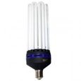 Ampoule CFL V2 Superplant 300 W V2 -  Dual/Mixte 2100K + 6400K-1