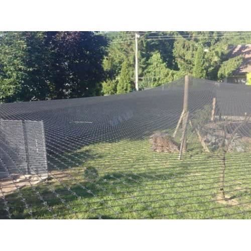 Xclou Filet De Protection Pour Arbres Fruitiers 8 X 8 – Protection