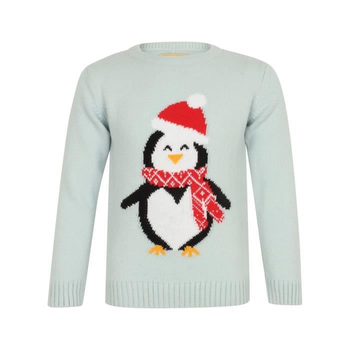 pull pingouin noel