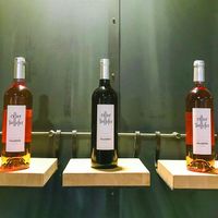Smartbox - Visite d'un domaine familial et dégustation de vins dans le Languedoc - Coffret Cadeau |