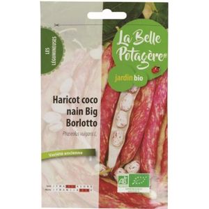 GRAINE - SEMENCE Graines à semer - Haricot coco nain Big Borlotto - 50 g