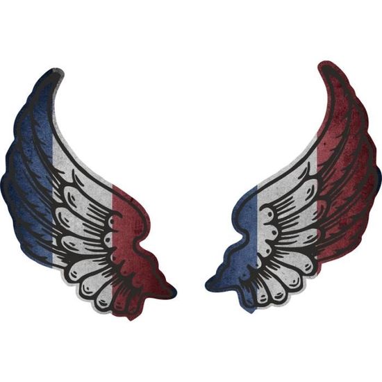 Autocollant Sticker Ailes Biker Motard Drapeau Pays GF Guyane Francaise