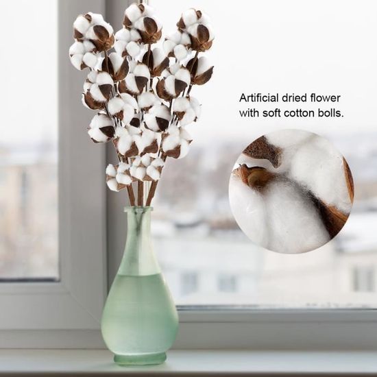 10 Fleurs De Coton Séchées Naturelles - Tiges De 42 Cm - Pour Déco Intérieur, Bouquets Secs, Style Bohème