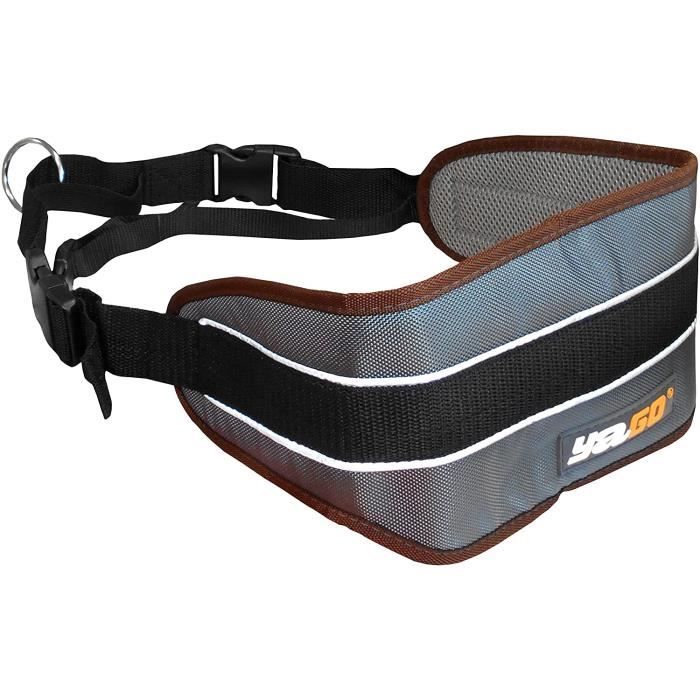 Ceinture de Sport Légère YAGO Rembourrage Mousse, Taille Unique, Bande Réfléchissante, Ceinture Ventrale CaniCross, Mains Libres