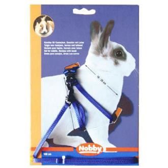 Harnais + Laisse Pour Furet Bleu