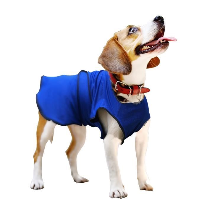 Manteau rafraîchissant pour chien manteau d'été taille S polyester bleu