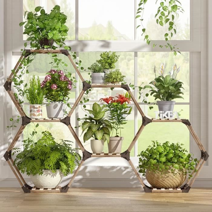 Allinside Hexagonal Support pour Plantes d'intérieur, étagère pour Lantes  d'extérieur, étagère à Plantes Transformable pour Fenêtre, Jardin, Balcon,  Salon - 7 Tablettes Polycarbonate (PC) : : Jardin