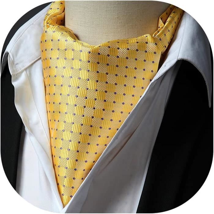 Cravate Ascot Plastron Paisley | Cravate Mariage Pré-nouée élégante