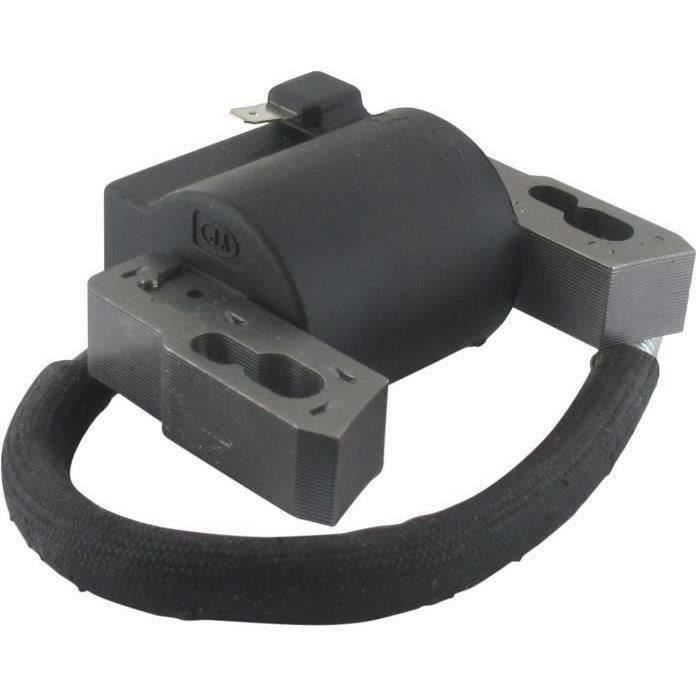 Bobine d'allumage BRIGGS & STRATTON séries 700, 750EX , DOV vertical