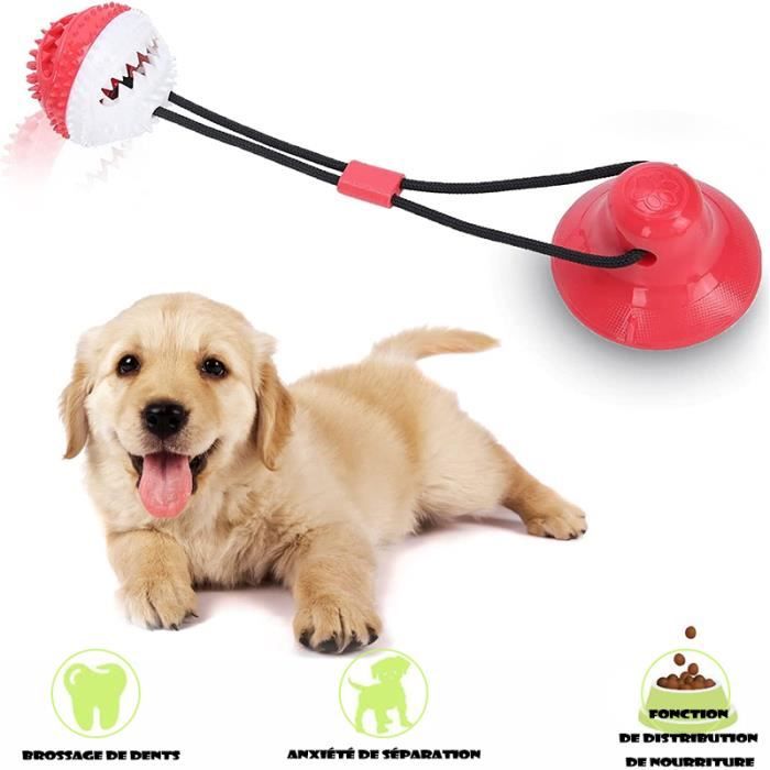 Meilleurs prix pour Jouet à Mâcher pour Chien,Jouet Ventouse Interactif Chien pour Chiens Resistant,Jouet Chiot pour Les Dent pour Nettoyage Dent-Rouge