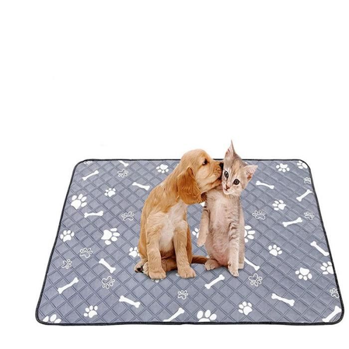 Tapis de propreté - Chien - 70x100 cm - Antidérapant - Lavable - 4 couches
