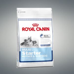 MAXI STARTER 4KG