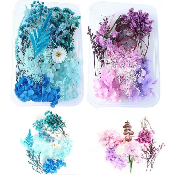 Boîte fleurs séchées Night - 2 coloris - My Kozy Shop