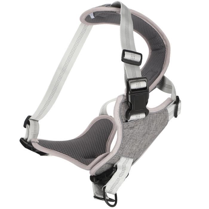 Harnais Pour Petit Chien Ou Chiot – Taille S – Réfléchissant, Rembourré Et Ajustable – Inclus Laisse (orange)