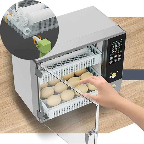 Incubateur Automatique Pour œufs 24-36 œufs De Poule - Retournement Et Humidification Automatiques, Lampes à Mirer, Pour Poule, Caille, Canard, Oie