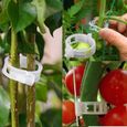 ZF02453-Version 50pcs -  - Pinces Plastique Pour Plantes | Clips De Support Plantes, 23mm 50-100-200 Pièces, Vigne, Jardin, Serre,-0