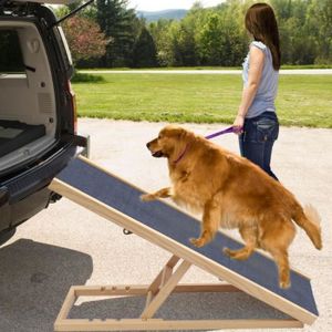 Rampe Canapé Chien Rampe Pour Chien Achat Vente Rampe Pour Chien A Prix Casse
