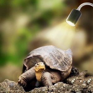 Terrarium Pour Tortue Terrestre Achat Vente Pas Cher
