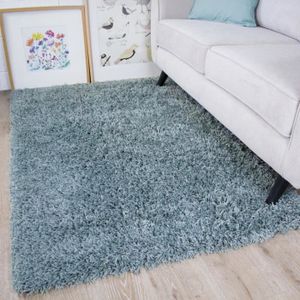 Tapis De Salon Bleu Canard