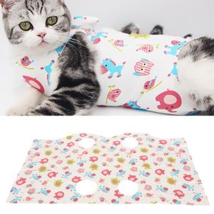 Chaussette pour chat après opération 2025