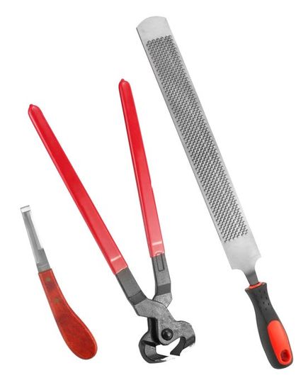 Kit d'outils de maréchal-ferrant avec râpe, marteau, couteau à sabots Kit d'outils de maréchal-ferrant avec râpe, marteau, couteau à sabots