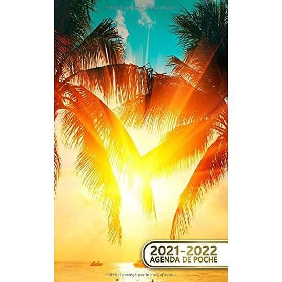 Cdiscount Calendrier 2022