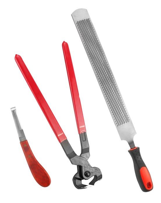 Trousse à Outils Maréchal-ferrant Tnfeeon - Lime, Coupe-Sabot Et Couteau - Soin Sabots Cheval Kit Maréchal-ferrant